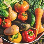 Seasonable Vegetables