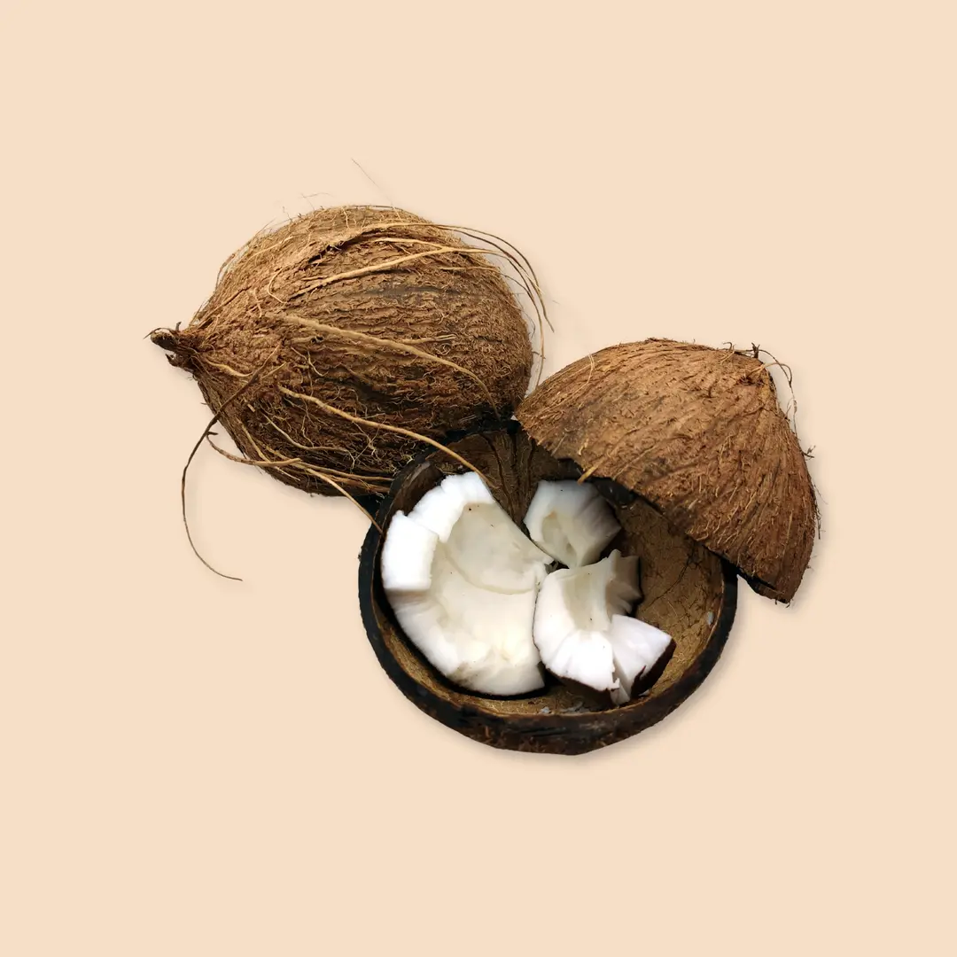 COCONUT (Pani wala nariyal)