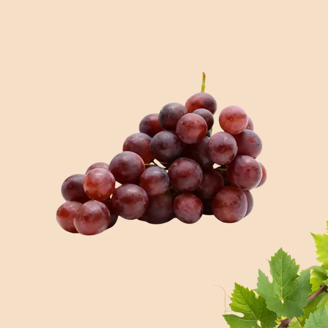 RED GRAPES Globe imp