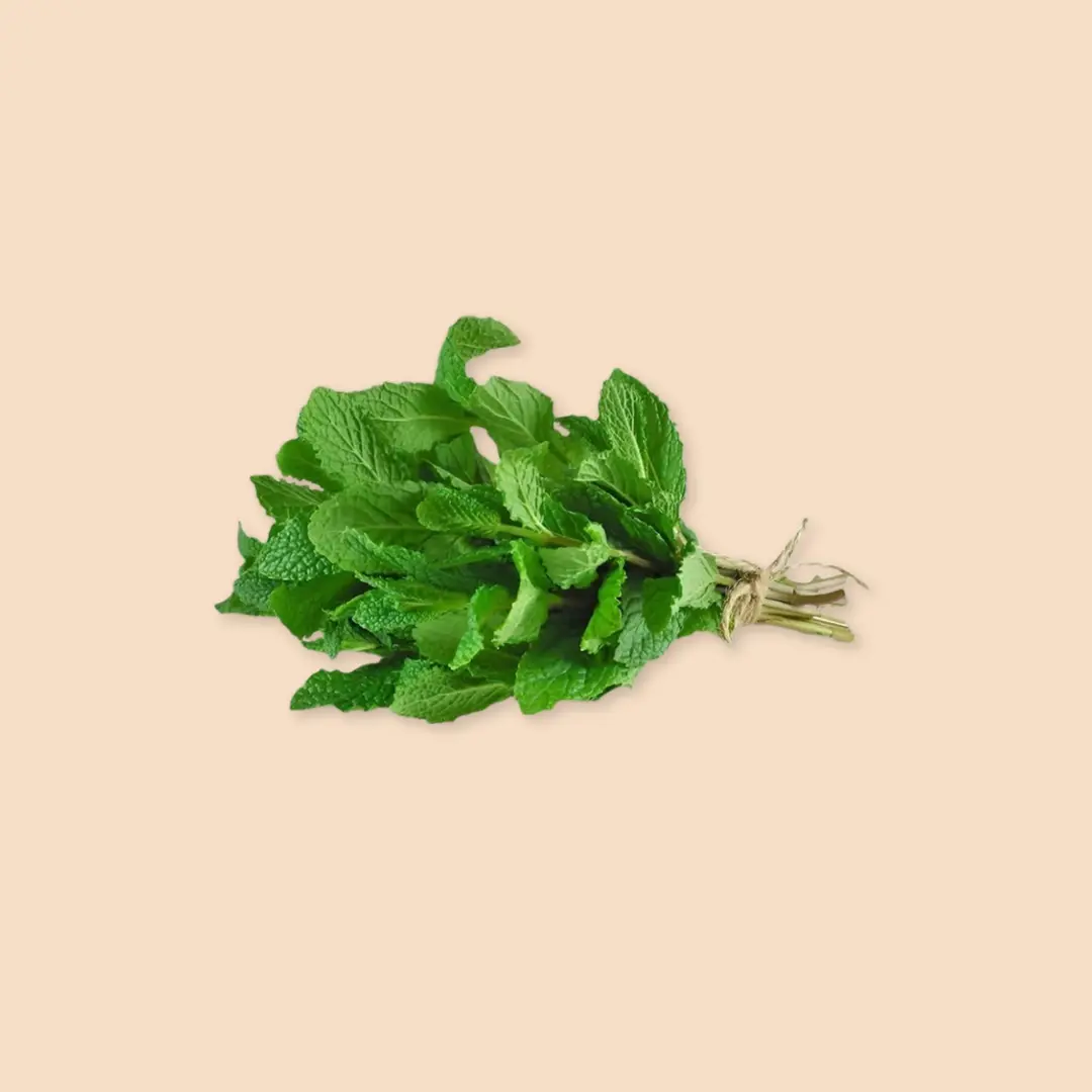 Mint (Pudina)