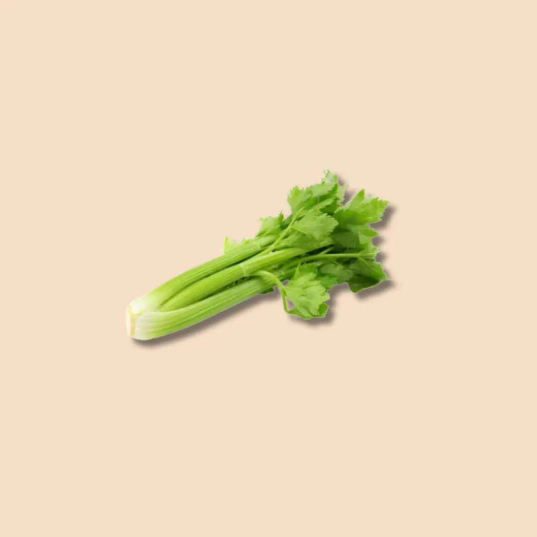 Celery