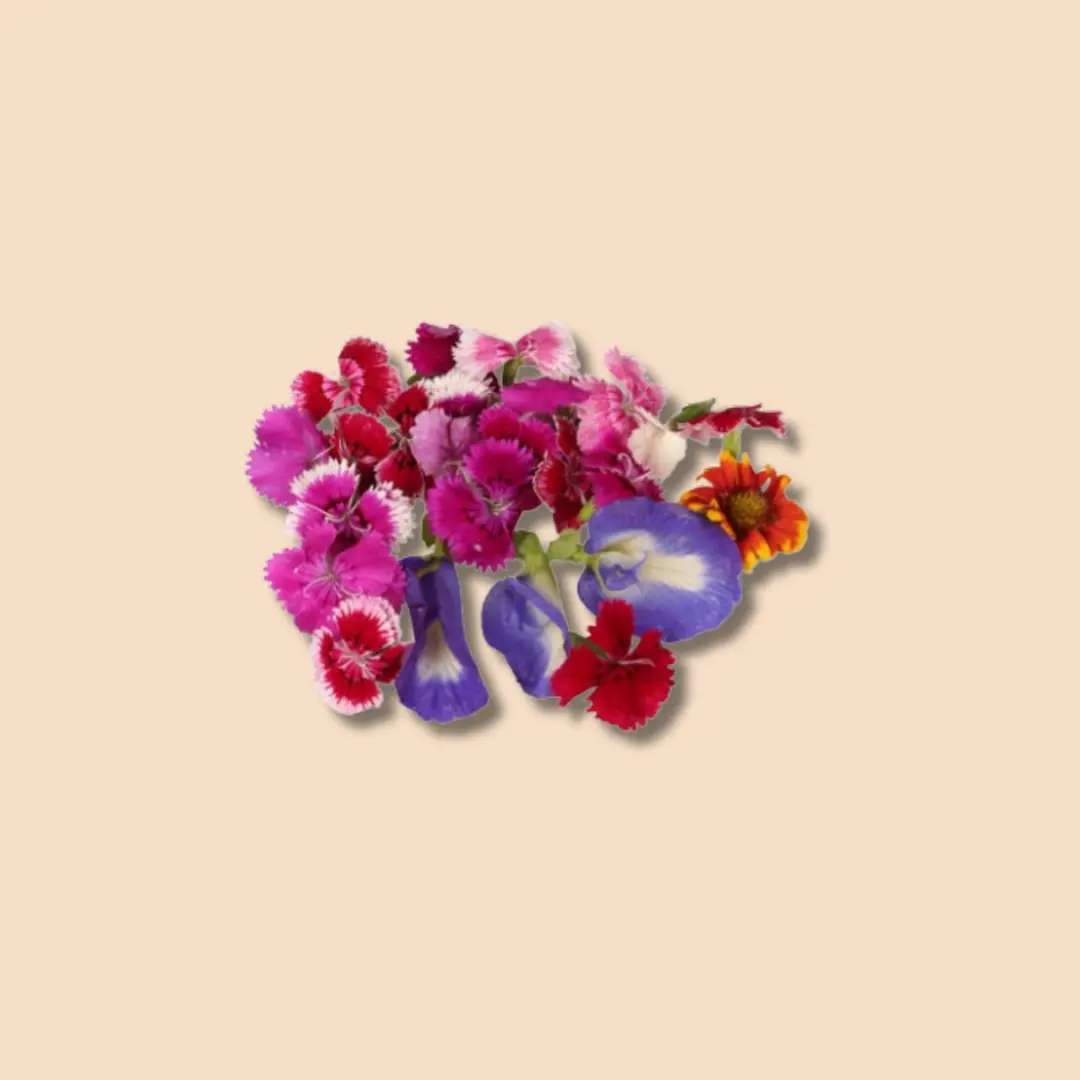 Edible Flowers