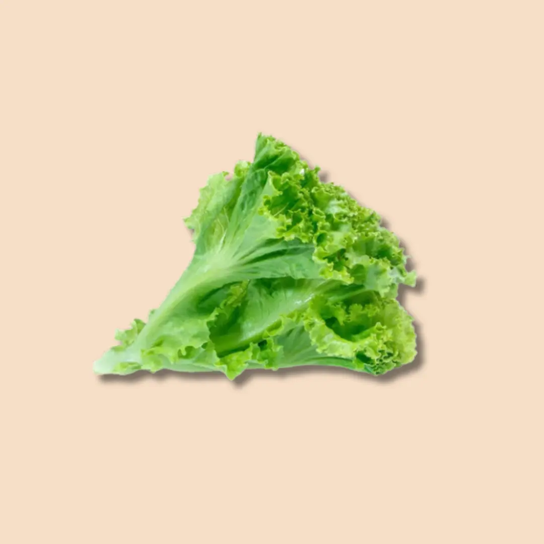 Green Lettuce