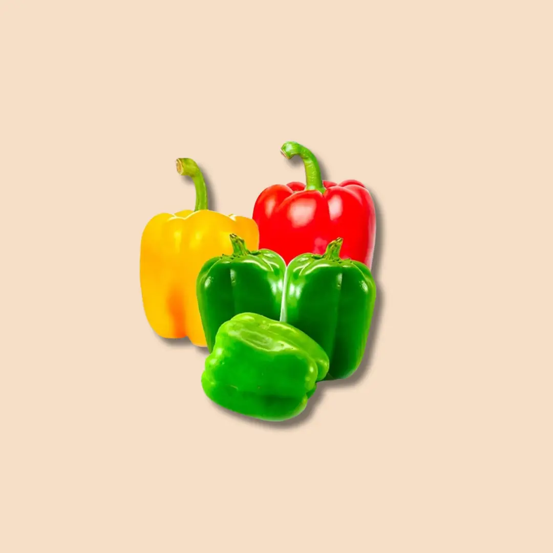 Tricolour Capsicum